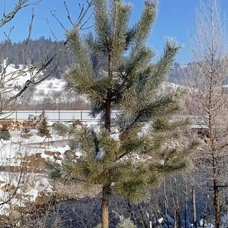 Затишний Будиночок Bukovets Luaran gambar