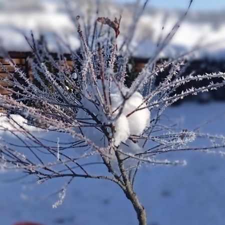 Затишний Будиночок Bukovets Luaran gambar