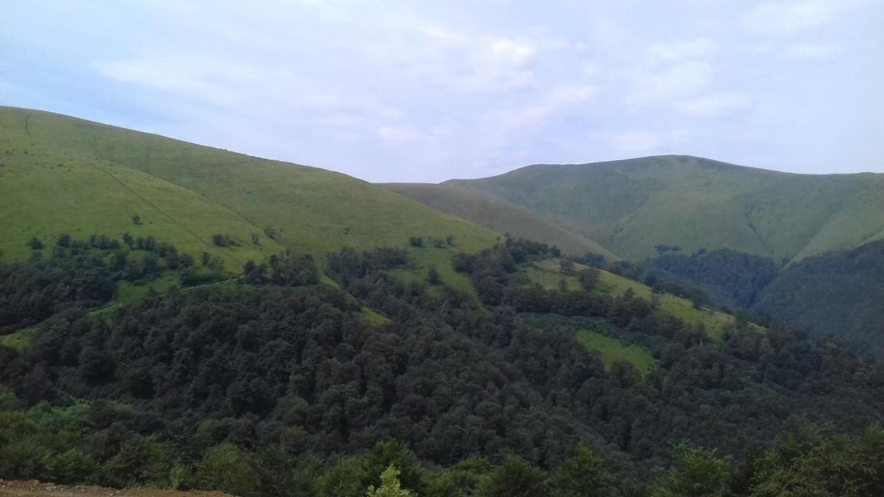 Затишний Будиночок Bukovets Luaran gambar