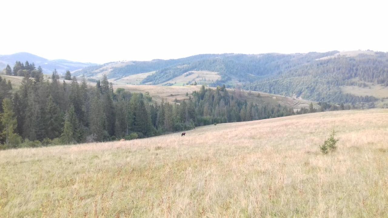 Затишний Будиночок Bukovets Luaran gambar