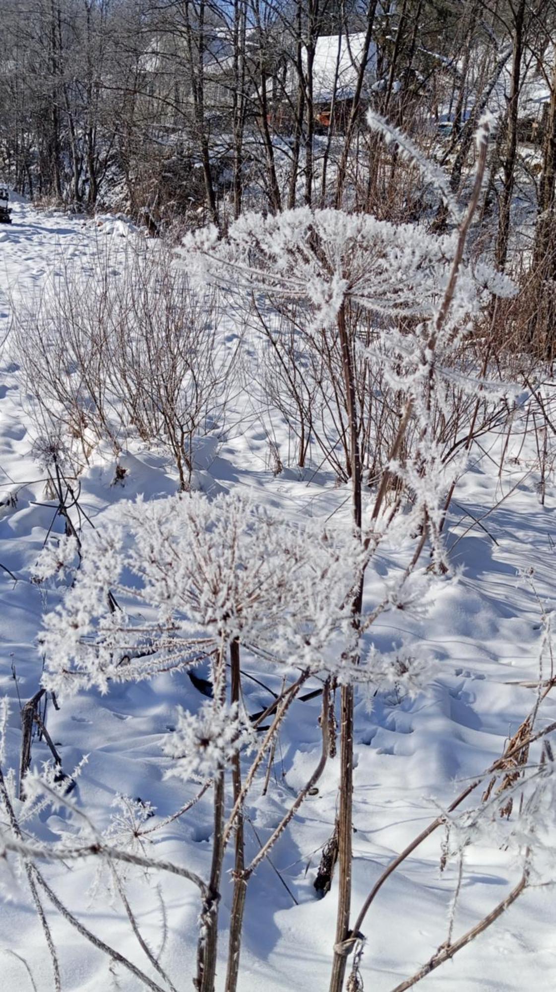 Затишний Будиночок Bukovets Luaran gambar